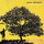Cover for In Between Dreams by Jack Johnson